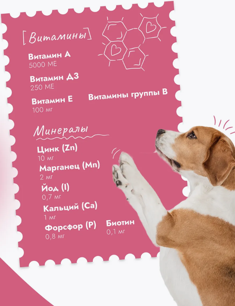 Изображение товара Влажный корм для собак Best Dinner Для щенков и взрослых собак Телятина с тыквой (850г)