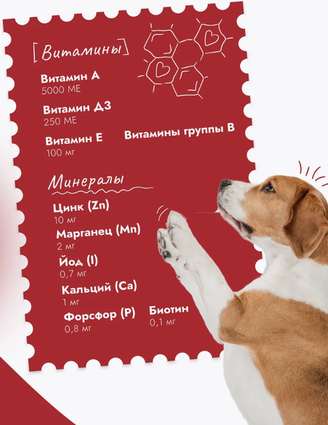 Изображение товара Влажный корм для собак Best Dinner Для щенков и взрослых собак Ягненок с томатами (850г)