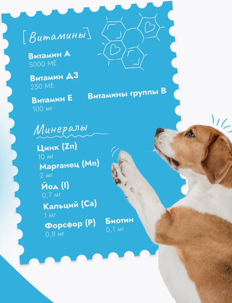 Изображение товара Влажный корм для собак Best Dinner Для щенков и взрослых собак  Ягненок с ягодами (850г)