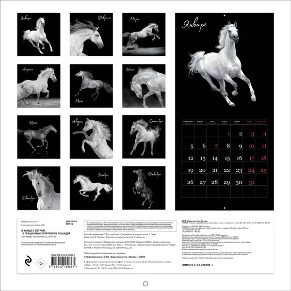 Изображение товара Календарь настенный Эксмо В танце с ветром. 12 грациозных портретов лошадей 2026 год (9785042169861)