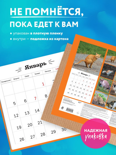 Изображение товара Календарь настенный Эксмо Все кошки делают это 2026 год (9785042169694)