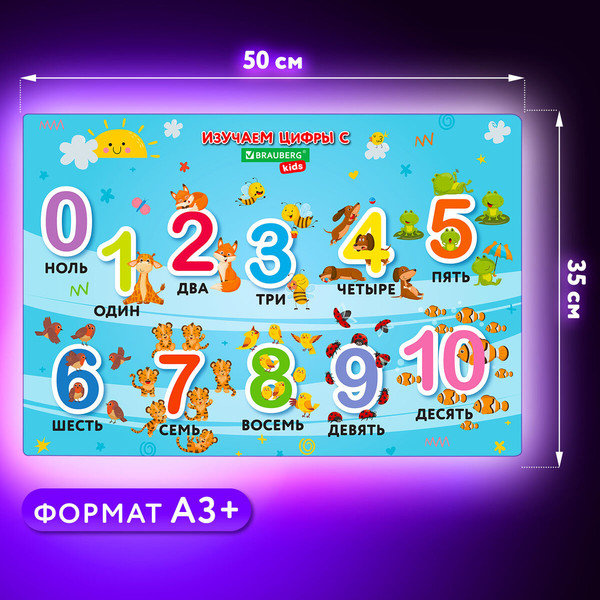 Изображение товара Бювар Brauberg Kids. Numbers / 272361