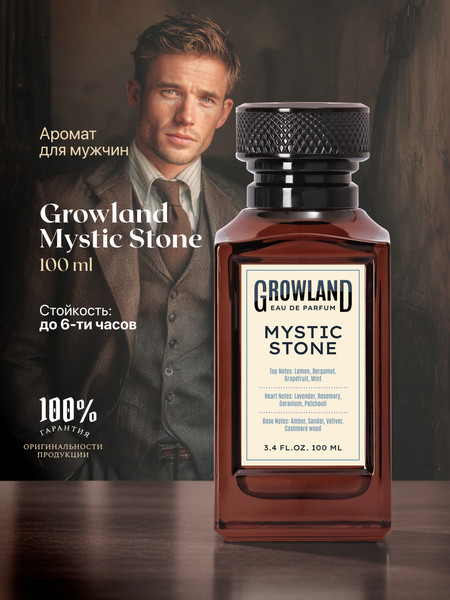Изображение товара Парфюмерная вода Dilis Growland Mystic Stone (100мл)