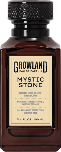 Изображение товара Парфюмерная вода Dilis Growland Mystic Stone (100мл)