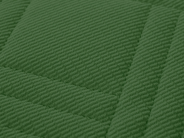 Изображение товара Покрывало Primavelle Velvet 240х260 / 251052426-20 (хвойный)