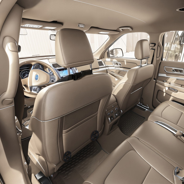 Изображение товара Подушка для автомобиля ForErgo Упор PIL039