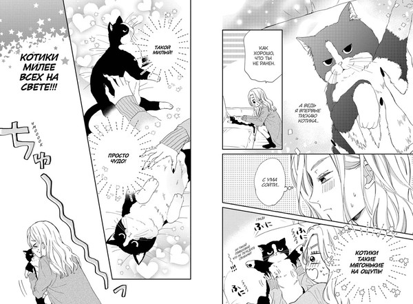 Изображение товара Манга Махаон Кот и поцелуй. Том 1 (Сэнри М. 9785389279964)