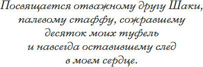 Изображение товара Книга Азбука Совершенство, мягкая обложка (Миненкова Татьяна)