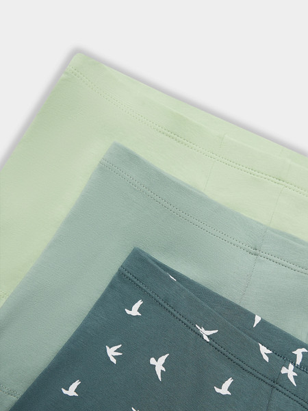 Изображение товара Комплект мужских трусов Mark Formelle 411122-3 (р.106-116, светло-зеленый/зеленый лед/птицы на зеленом)