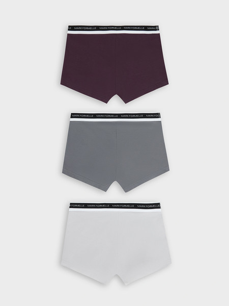 Изображение товара Комплект мужских трусов Mark Formelle 411124-3 (р.98-108, светло-серый/серый дым/сливовый)