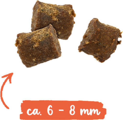 Изображение товара Полувлажный корм для кошек Bosch Petfood Sanabelle Juicy с лососем (40г)