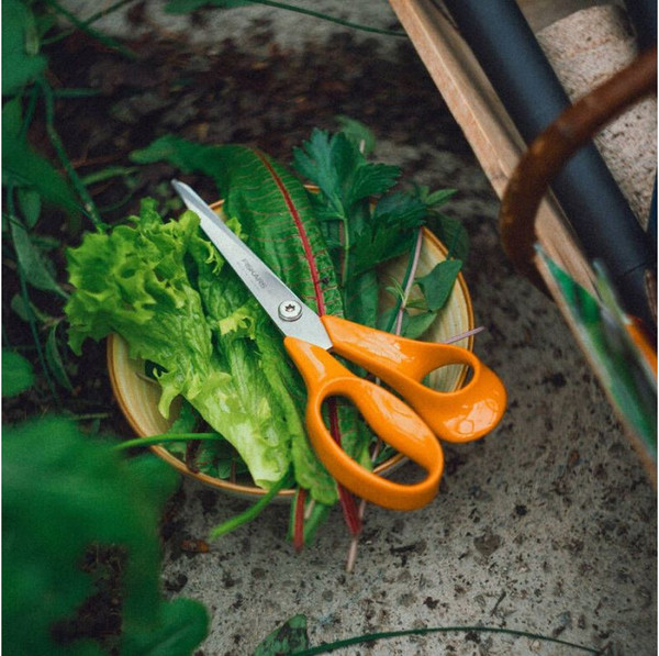 Изображение товара Садовые ножницы механические Fiskars 1075033