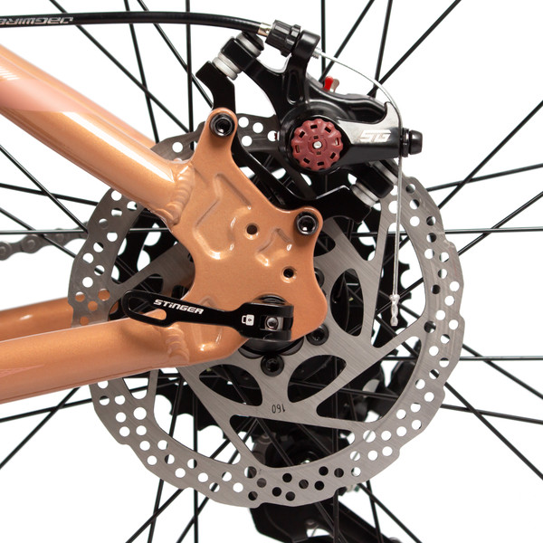 Изображение товара Велосипед Stinger Laguna 29 / 29AHD.LAGUNA.LGBG5 (бежевый, разобранный, в коробке)