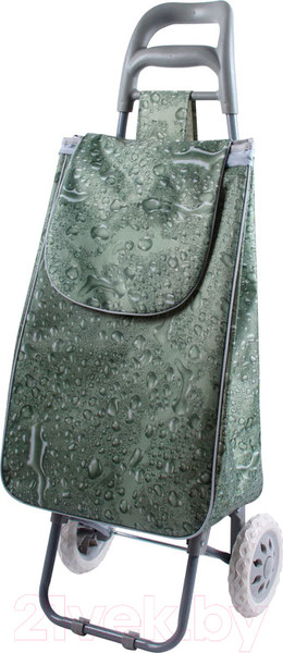 Изображение товара Сумка-тележка Рыжий кот А204 (aqua)