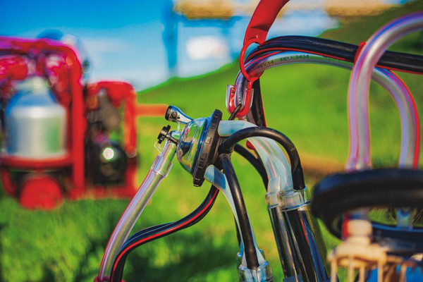 Изображение товара Доильный аппарат Melasty TJK1-PS