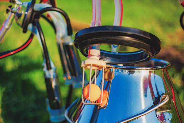 Изображение товара Доильный аппарат Melasty TJK1-PS