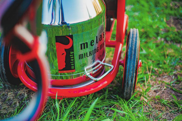 Изображение товара Доильный аппарат Melasty TК-1 PS (с ресивером)