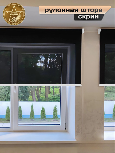 Изображение товара Рулонная штора АС МАРТ Скрин 3% 55x200 (черный)