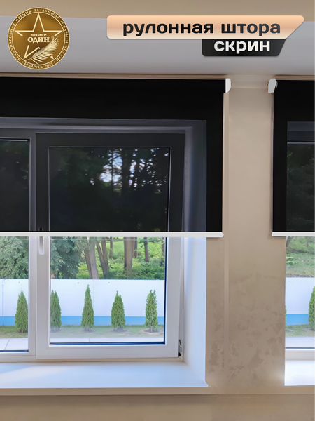 Изображение товара Рулонная штора АС МАРТ Скрин 3% 60x200 (черный)