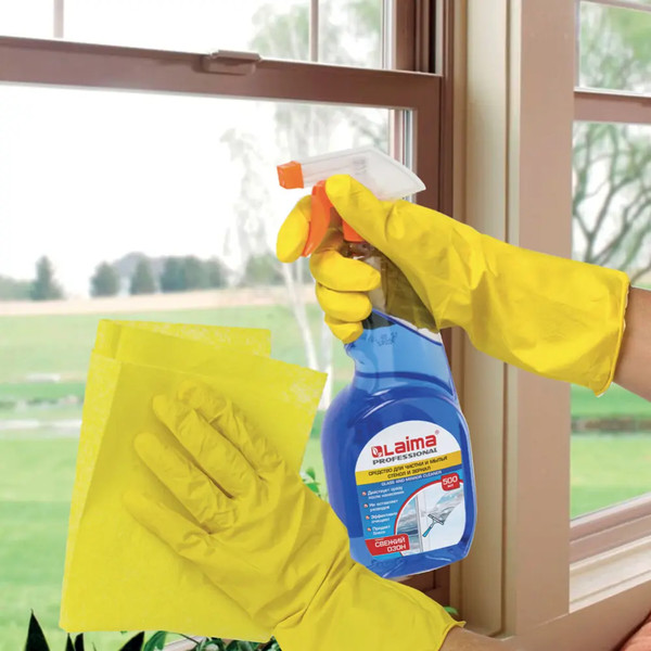 Изображение товара Средство для мытья стекол Laima Professional. Свежий озон / 601609 (500мл)