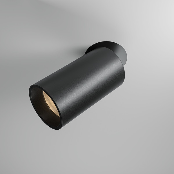 Изображение товара Точечный светильник Maytoni DL125-L12-4K-TRS-B