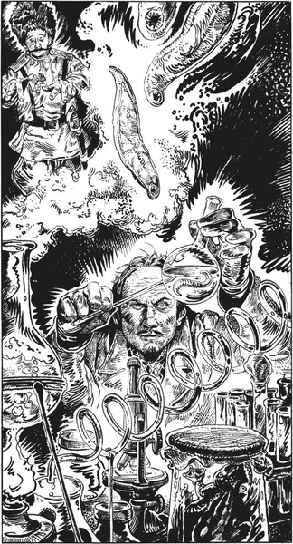 Изображение товара Книга Иностранка Дело о полку Игореве, твердая обложка (Зайчик Хольм ван)