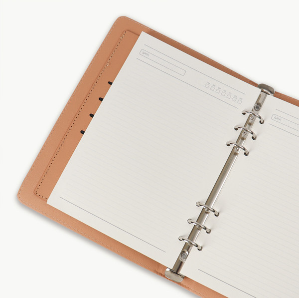 Изображение товара Ежедневник Darvish DV-15361E (100л)