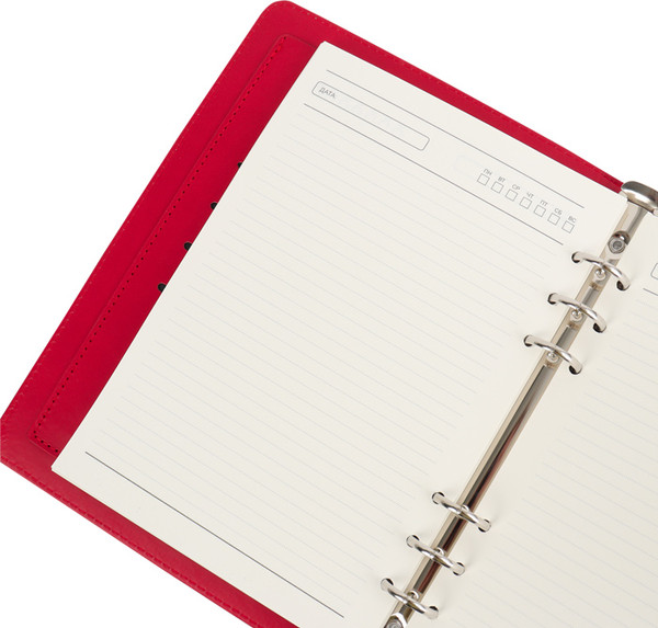 Изображение товара Ежедневник Darvish DV-15362A (100л)