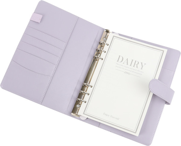 Изображение товара Ежедневник Darvish DV-15363B (100л)