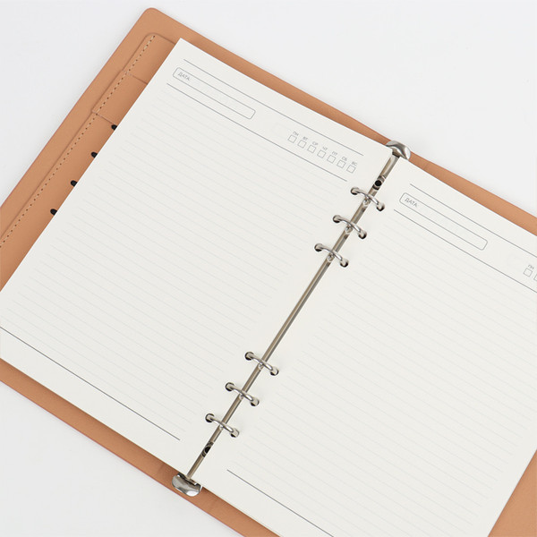 Изображение товара Ежедневник Darvish DV-11600A (100л)