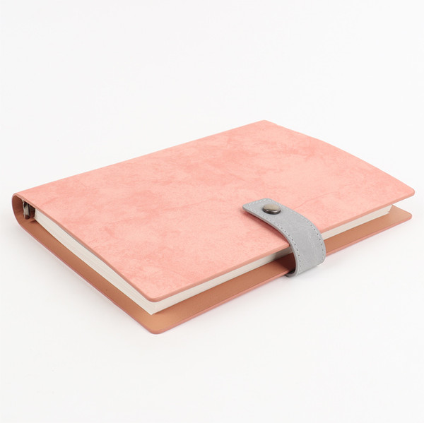 Изображение товара Ежедневник Darvish DV-11600A (100л)