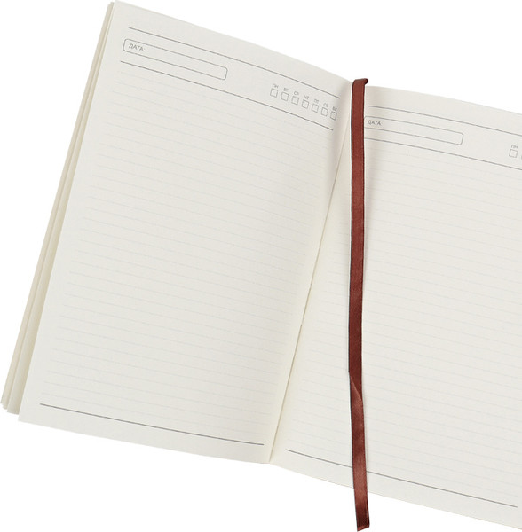 Изображение товара Ежедневник Darvish DV-15359C (100л)