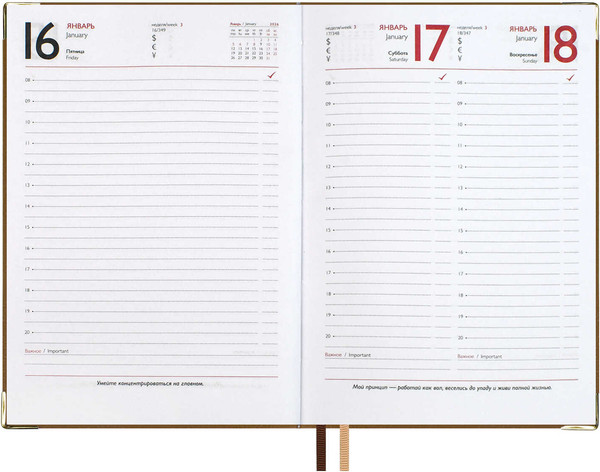 Изображение товара Ежедневник Escalada Сариф 2026 / 70258 (176л, коричневый)