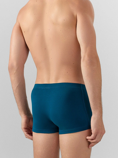 Изображение товара Трусы мужские Mark Formelle 411229 (р.102-112, темная бирюза/декор)