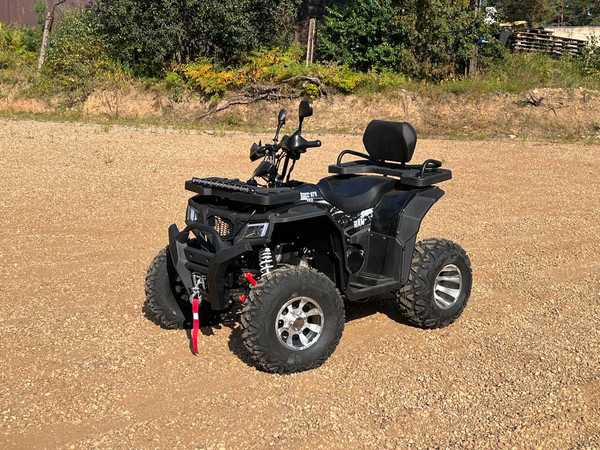 Изображение товара Квадроцикл RAM ATV250 (черный металлик)