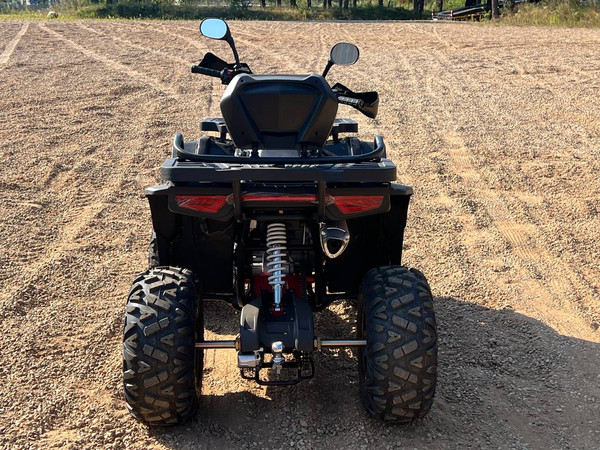 Изображение товара Квадроцикл RAM ATV250 (черный металлик)