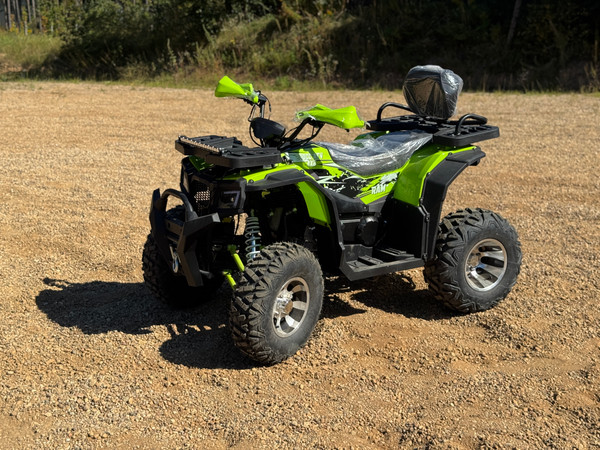 Изображение товара Квадроцикл RAM ATV250 (зеленый металлик)