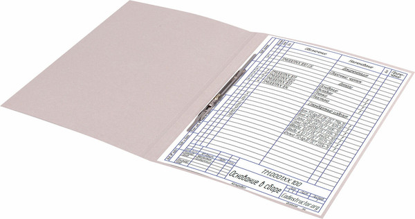 Изображение товара Папка для бумаг Brauberg 121519 (зеленый)