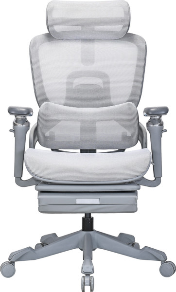 Изображение товара Кресло геймерское Evolution ZX 2