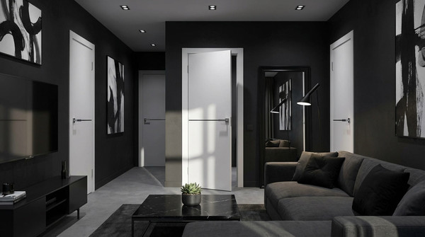 Изображение товара Дверь межкомнатная Юни Эмаль Line 7 90x200 (белый/черный)