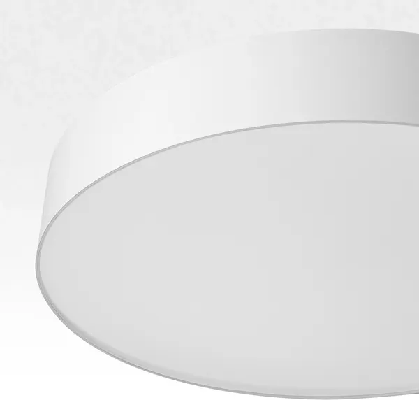 Изображение товара Потолочный светильник Citilux Bart CL755390