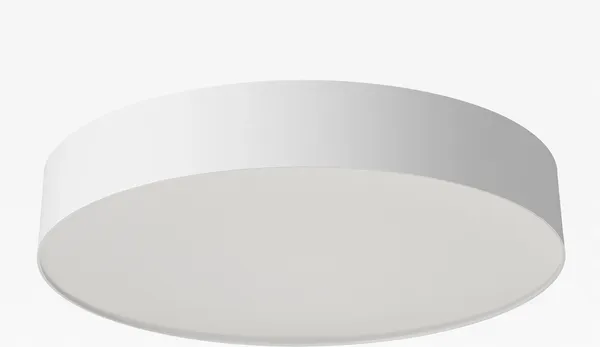 Изображение товара Потолочный светильник Citilux Bart CL755390