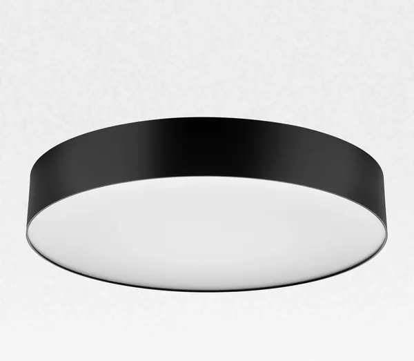 Изображение товара Потолочный светильник Citilux Bart CL755391