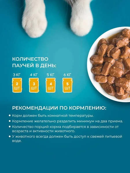 Изображение товара Влажный корм для кошек Hitstick Для кошек с Рыбой в соусе (28x75г)