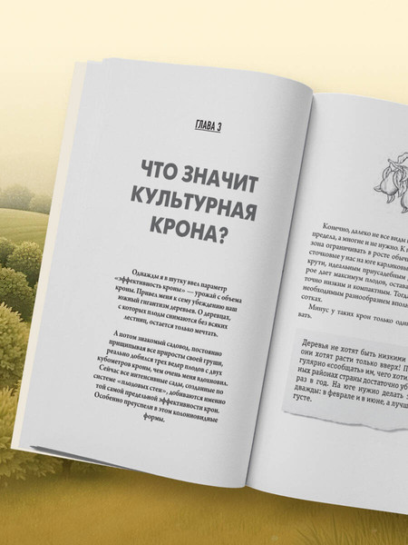 Изображение товара Книга Эксмо Обрезка и формировка деревьев и кустарников, мягкая обложка (Курдюмов Николай)