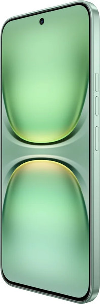 Изображение товара Смартфон Tecno Spark 40 Pro 8GB/256GB (бамбуковый зеленый)