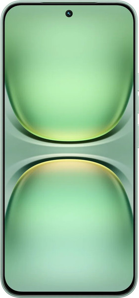 Изображение товара Смартфон Tecno Spark 40 Pro 8GB/256GB (бамбуковый зеленый)