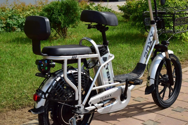 Изображение товара Электровелосипед Terax Roxy NS010