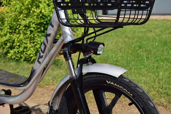 Изображение товара Электровелосипед Terax Roxy NS010