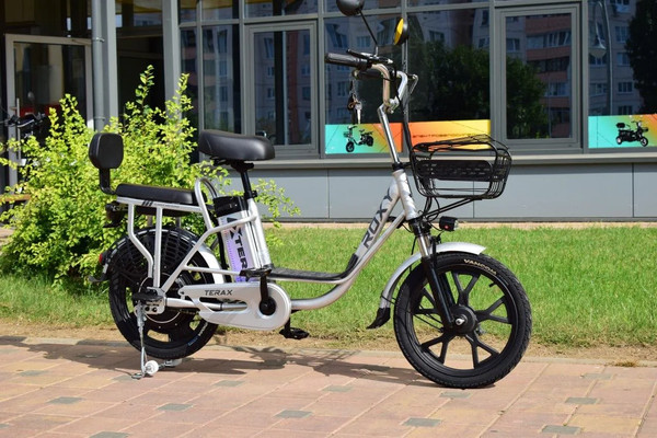 Изображение товара Электровелосипед Terax Roxy NS010